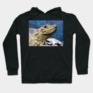 Sailfin Lizard Hoodie